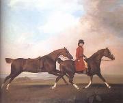 William Anderson with Two Saddle Horses (mk25)
